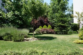 Vanzare, apartament 3 camere, Kiseleff, Bucuresti
